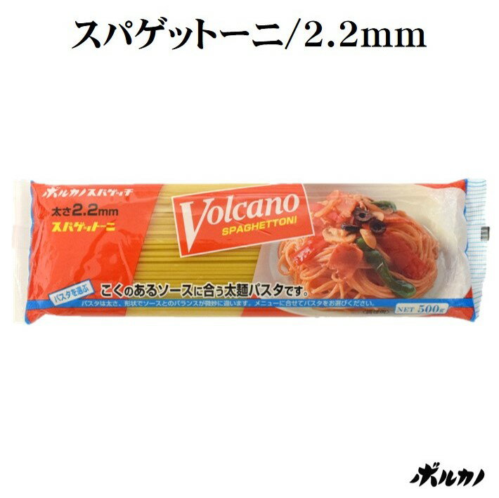 スパゲットーニ 極太 2.2mm 500g 国産 パスタ 2.2 太麺 太麺パスタ パスタ麺 本格 超極太 もちもち 麺 太いスパゲティ スパゲッティ