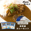 【訳あり30%OFF】北陸新幹線 敦賀開業記念 かがやきスパゲッティ ドクターイエロースパゲッティ 新幹線カレー レトルトカレー レトルト食品 鉄道 パスタ ス...