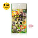 【お得12袋セット】酵素精310 乳酸菌EC-12(サプリメント) 60粒