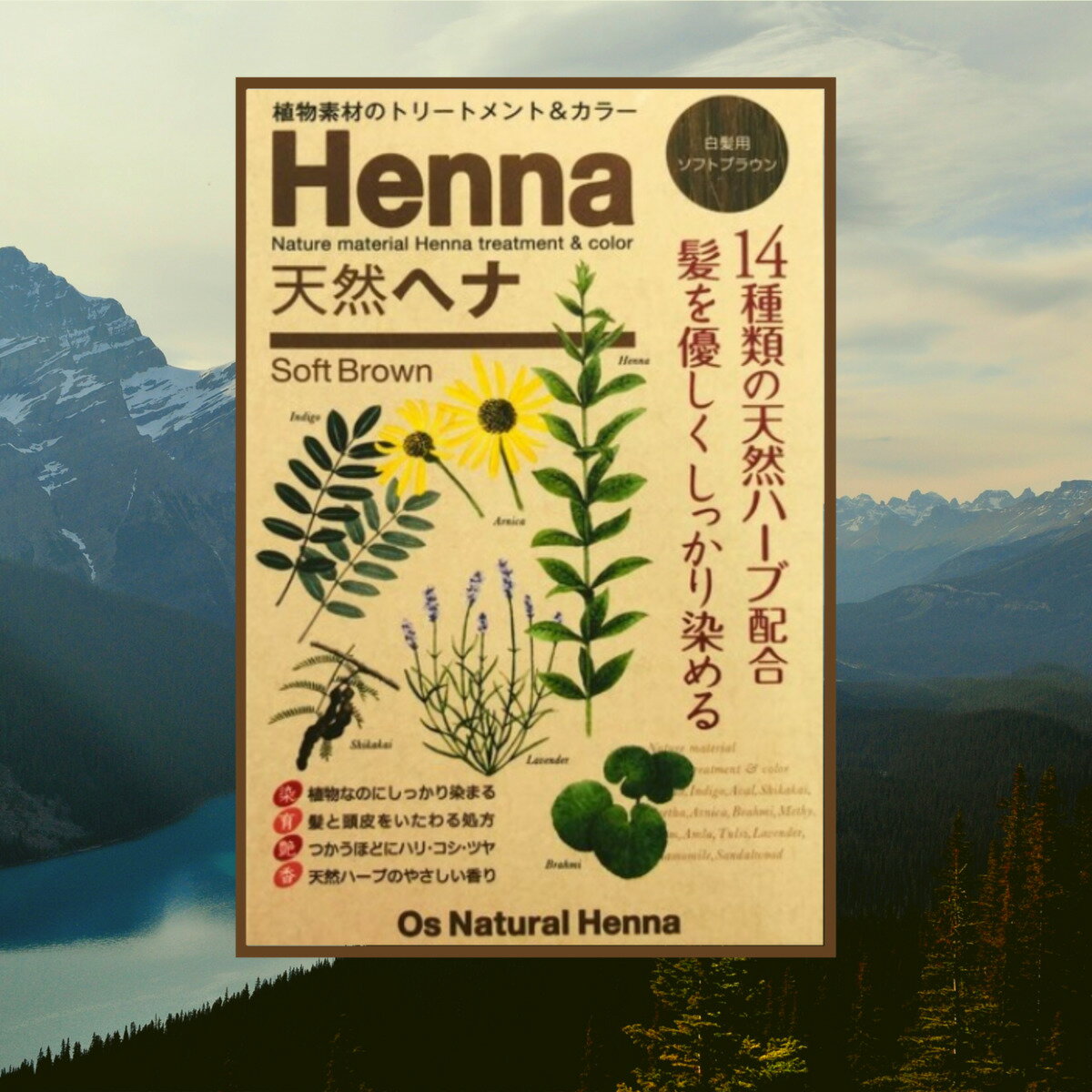 ソフトブラウン天然ヘナ- Os Natural Henna　ヘナ ヘアカラー セルフ ヘナ オーガニック トリートメント ダメージ ケア ダメージケア 白髪染め 高品質 綺麗 RRR