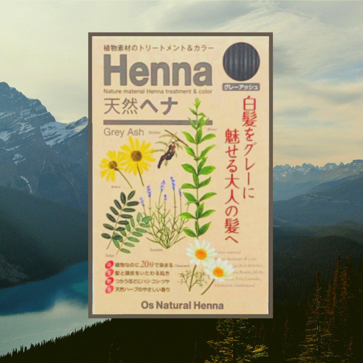 グレーアッシュ天然ヘナ - Os Natural Henna ヘナ ヘアカラー セルフ ヘナ オーガニック トリートメント ダメージ ケア ダメージケア 白髪染め 綺麗 RRR