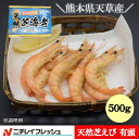 芝えび 有頭 殻付き 国産 熊本産 天草産 天然 天然えび 500g えび おつまみ 唐揚げ 天ぷら