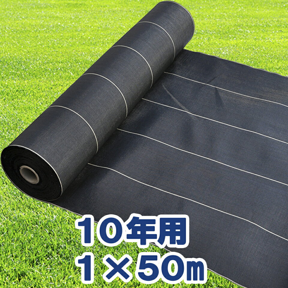 imgrc0085197197.jpg imgrc0085197197.jpg