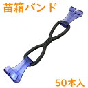 ケーエス製販 苗箱 バンド 50本入 250枚(4)