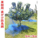 日本マタイ 防鳥網 直がけ 果樹用 9m×9m ブルーベリー サクランボ リンゴ 20mm目
