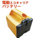 KAZ 和コーポレーション 電動エコキャリア21 電動ハウスカー 電動コンテナハウスカー