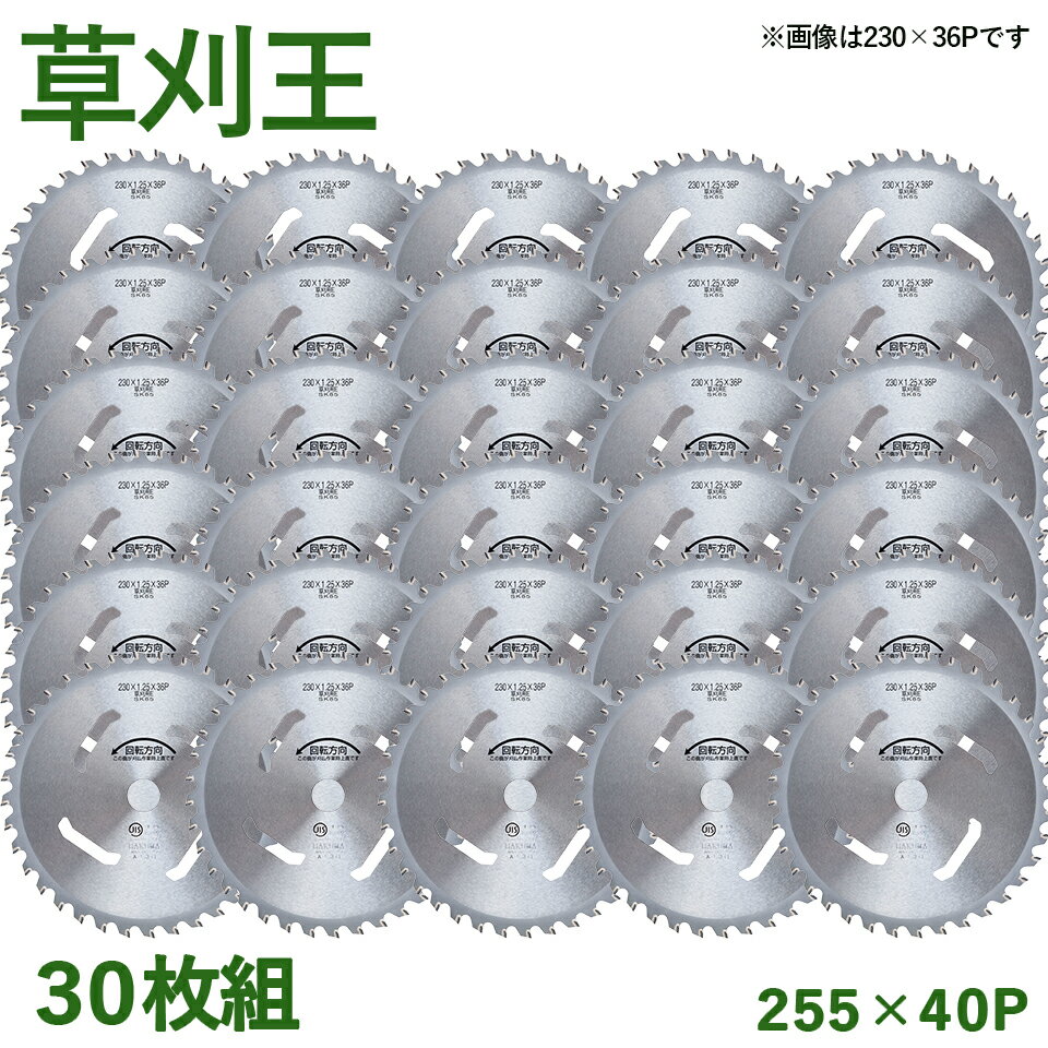 【30枚組】 草刈王 チップソー バクマ工業 BAKUMA 255×40P 外径255mm 40枚刃 草刈り 草刈機 刈払機 炭素鋼 V型埋込 中心刃 雑草 JISマーク