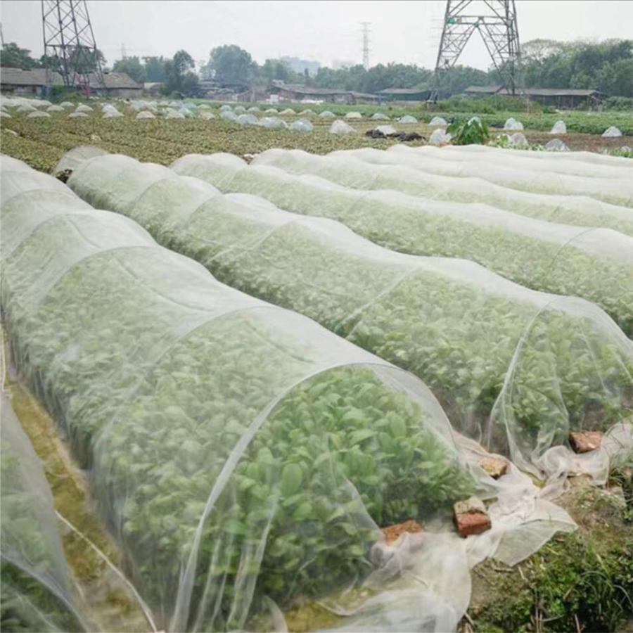 Rakuten - 防虫ネット 園芸 防鳥ネット 防虫メッシュ 野菜栽培 菜園 プランター 花壇適用 透明 植物保護 虫鳥除け網 保温 防霜 防風 農業資材 ホワ