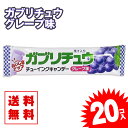【ゆうパケット便 送料無料】 ガブリチュウ グレープ味 (20個入) 景品 お試し プレゼント ポイント消化 メール便 お試し キャンディ系の駄菓子 明治 チュ...
