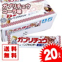 【ゆうパケット便 送料無料】 ガブリチュウ コーラ味 (20個入) 景品 お試し プレゼント ポイント消化 メール便 お試し キャンディ系の駄菓子 明治 チューイング ガム