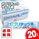 ラムネ 【ゆうパケット便 送料無料】 ガブリチュウ ラムネ味 (20個入) 景品 お試し プレゼント ポイント消化 メール便 お試し キャンディ系の駄菓子 明治 チューイング ガム