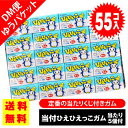 【ゆうパケット便 送料無料】 マルカワ 当付 ひえひえっこガム (55個入+おまけ5個) / 駄菓子 まとめ買い 送料無料 ガム系のお菓子 景品 縁日 お祭り個包装 お試し 詰め合わせ 大量 丸川製菓