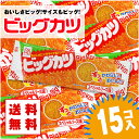 【ゆうパケット便 送料無料】 ビッグカツ (15個入) / 駄菓子 まとめ買い 送料無料 イカ・珍味系のお菓子 景品 縁日 お祭り個包装 お試し お菓子 つめあわせ 子ども おやつ すぐる