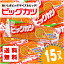 【ゆうパケット便 送料無料】 ビッグカツ (15個入) / 駄菓子 まとめ買い 送料無料 イカ・珍味系のお菓子 景品 縁日 お祭り個包装 お試し お菓子 つめあわせ 子ども おやつ すぐる