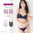 ノンワイヤー 大きいサイズ ブラジャー ＆ ショーツ 福袋 上下セット 2組入り 下着 福袋 2024 メール便不可 【送料無料※沖縄は追加送料】【S M L LL 3L 4L 5L ブラ ショーツ ブラジャー ブラ福袋 下着 レディース インナー 】