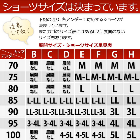 [バーゲン価格][メール便不可]B85〜H100まで 福袋 2020 大きいサイズのブラセット3組入り下着福袋 レディース [メール便不可]【送料無料※沖縄は追加送料】【ブラセット ブラ&ショーツ ブラジャー ブラ福袋 下着 福袋】