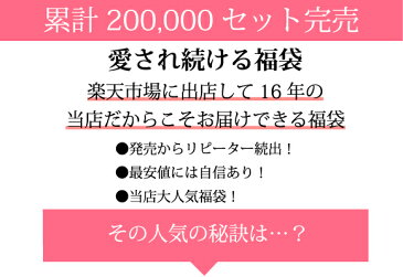 【送料無料※沖縄は追加送料】福袋 ブラ5組 レディース 下着福袋 「おまかせ」ブラショーツセット5組福袋 2021[メール便不可]【大きいサイズ ブラセット ブラ&ショーツ ブラジャー ブラ福袋 下着 福袋】