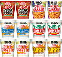 12個セット カップヌードル BIG 6種 12食セット 定番ビッグ 4種と 担担 花椒香るシビ辛マーボー ビッグ 各2個 日清食品 N1670