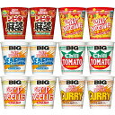 12個セット カップヌードル BIG 6種 12食セット 定番ビッグ 4種と たまごまみれ 花椒香るシビ辛マーボー ビッグ 各2個 日清食品 N4817