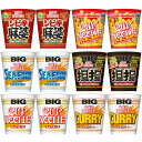 12個セット カップヌードル BIG 6種×2個アソートパック 定番ビッグ3種と 担担 たまごまみれ 花椒香るシビ辛マーボー ビッグ 各2個 日清食品 N8847