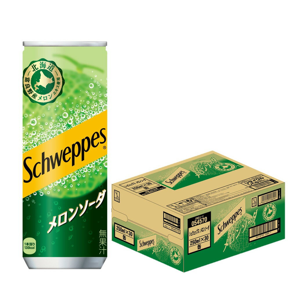 30本セット コカ・コーラ シュウェップス メロンソーダ 250ml缶