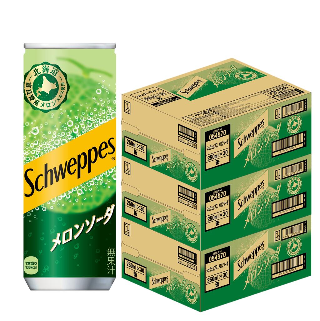 90本セット コカ・コーラ シュウェップス メロンソーダ 250ml缶