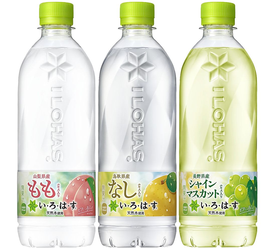24ܥå ϡ 540ml 38ܥ Ϥ  ʤ 㥤ޥå  H1284