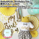 【バースデーTシャツ 〈Basic〉】 1歳 2歳 3歳 4歳 5歳 6歳 7歳 誕生日 服 男の子 女の子 Tシャツ バースデーtシャツ 数字 バルーン 飾り付け one 送料無料　／