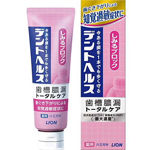 6個セット デントヘルス 薬用ハミガキ しみるブロック 85g