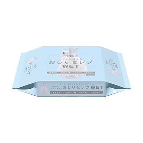 5個セット ネピア おしりセレブWET 無香料 詰替 60枚入