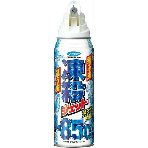 5個セット フマキラー 殺虫スプレー 凍殺ジェット 300ml