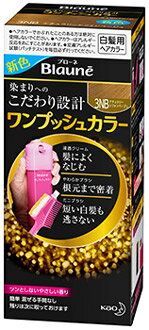 【A商品】 6～10個セット まとめ買い 花王 ブローネ ワンプッシュカラー 3NB ナチュラリーシフォンベージュ 80g