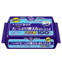 【B商品】【購入条件付き】 日本製紙クレシア　アクティ トイレに流せる　たっぷり使えるおしりふき　100枚 ※購入条件を必ずご確認ください