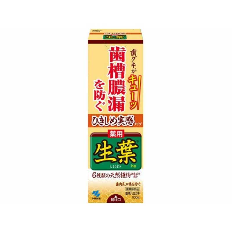 効能・効果・歯周炎(歯槽膿漏)の予防・歯肉炎の予防・口臭の防止・むし歯を防ぐ・歯を白くする・口内を浄化する・口内を爽快にする 成分・研磨剤：水酸化アルミニウム・溶剤：水、エタノール・湿潤剤：濃グリセリン・基剤：無水ケイ酸・可溶化剤：ポリオキ...