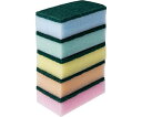 【B商品】【購入条件付き】 大和物産 クリーンクラブ キッチン スポンジ 5色 カラフルハードスポンジ 5個入 ※購入条件を必ずご確認ください(3)