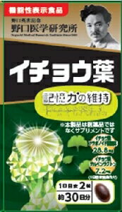 6～10個セット まとめ買いイチョウ葉 60粒 60粒