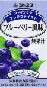 【注文合計2980円以上で注文可能】ジャネフ ファインケア すっきりテイスト ブルーベリー味 単品 キューピー 栄養補助 栄養補給 防災 備蓄 保存 常温 125mlお一人様5点まで