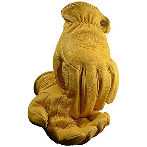 Caiman カイマン レザーグローブ（革手袋） ドライバー／ワーク／バイク Gold Sheep Grain（羊革） M