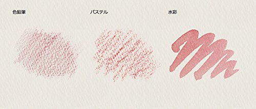 �ߥ塼�� ��̻� ��ȥ���֥��å� F4 300g �ʥ����� 15������ NW-1404 F4