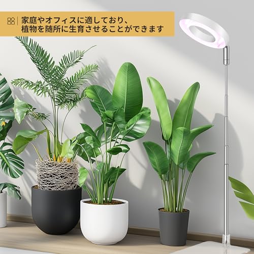 Raygrov ��ʪ�����饤�� LED ������ݥ饤�� Ĵ��4�ʳ� �����ǽ��4H / 8H / 12H�� �⤵Ĵ���ǽ �ʥ��� ���۸��ϵ� ��