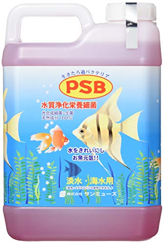 サンミューズ PSB 2.1L