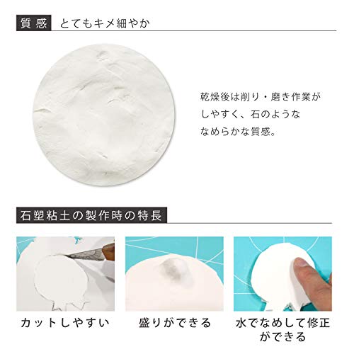 �ѥ��� ����Ǵ�� ��ɡ��� 500g ������ 303101