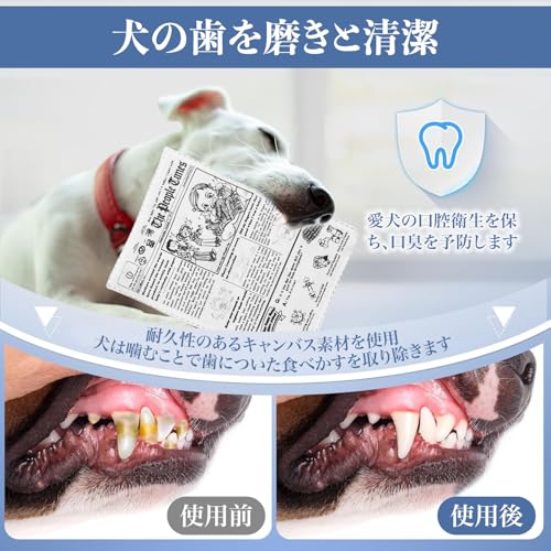 �� ������� �� ���प����� 2������ ���Ѥ������ �ΰ��� �����ѿ�ʹ������� ��ʹ���� �����Ĥ� ���ȥ쥹��ô�� �����ѵ���������