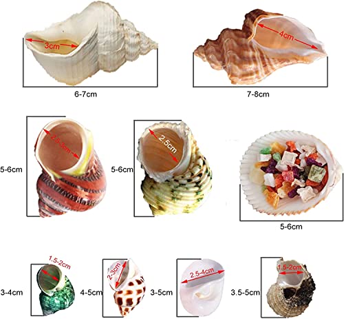 ��ɥ���γ��� 17PCS9 ���� ������ ��Ĺ���륿���ܳ� 15��40mm �͡��ʳ������Υ����� ŷ��