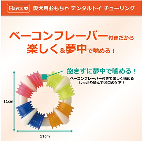 �ǥ󥿥�ȥ� ���塼��� ���Ѥ������ ���᤭������� L 4�Ĥΰۤʤ���߿��� | �ϡ���Hartz | �ǥ󥿥륱�� | ���ߤ���
