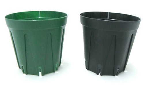 スリット鉢 プラ鉢 6cm モスグリーン 10個