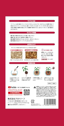 プロトリーフ 室内園芸用土サイフォン 1L