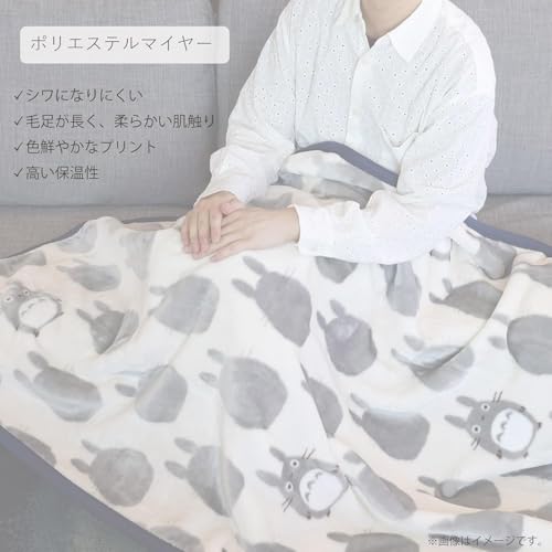 丸眞 毛布 ミッフィー ふたりでぬくぬく ブランケット ポリエステルマイヤー かわいい ふわふわ おしゃれ 防寒グッズ 5885006200 [2]