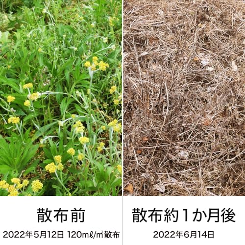 レインボー薬品 ネコソギシャワーV6 4Lエコパウチ