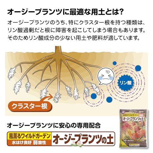 花ごころ オージープランツの土 過度なリン酸成分を嫌うオージープランツ専用土 12L